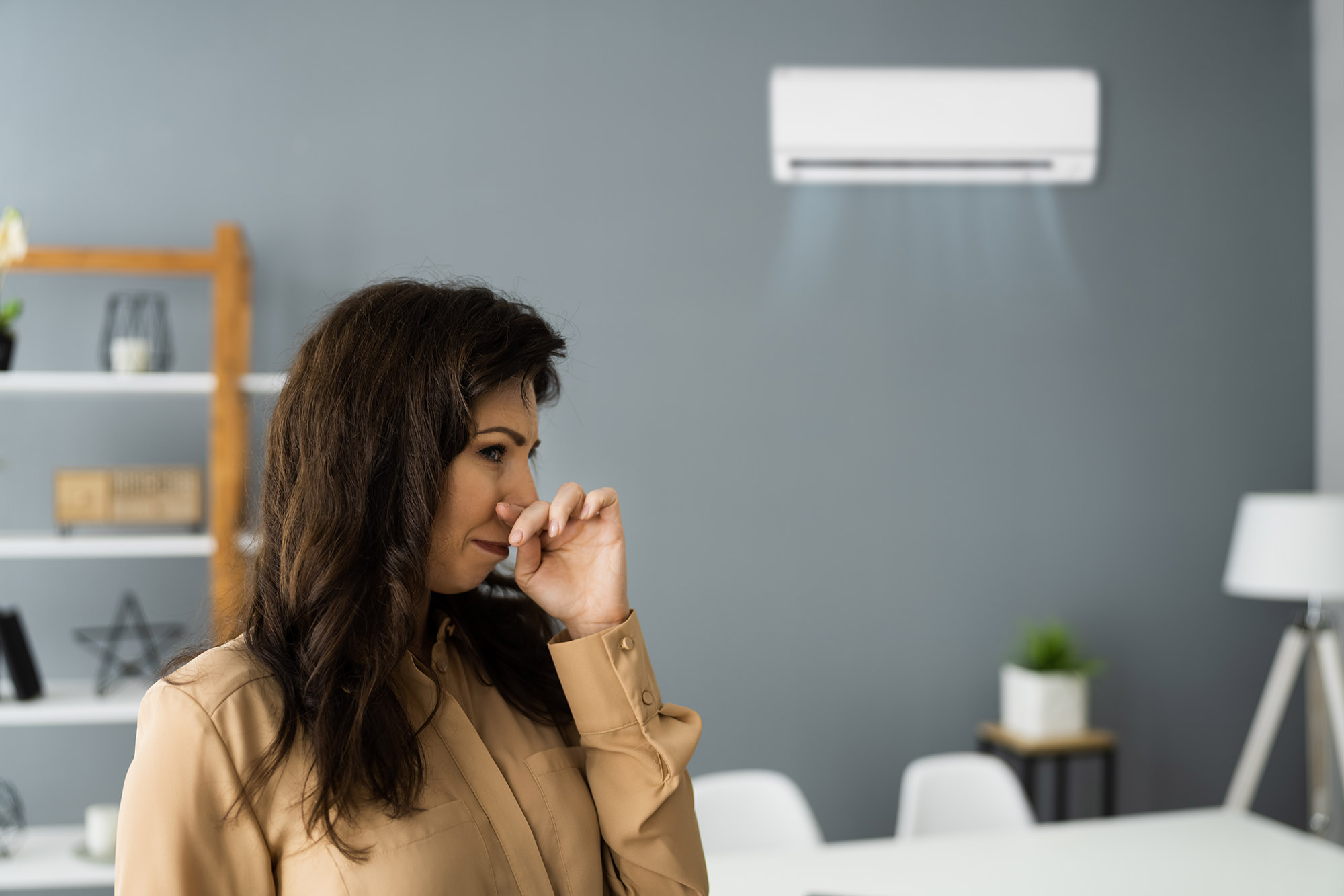 dealing with smelly AC system odors
